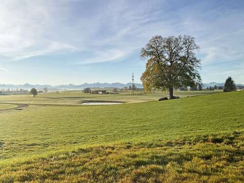 Foto - Haus zum Kaufen in Aitrang 595.000,00 € 155 m²