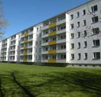 Wohnung zum Mieten in Stralsund 302,22 € 43.8 m²