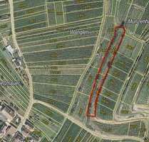 Grundstück zu verkaufen in Jechtingen 8.000,00 € 2881 m²