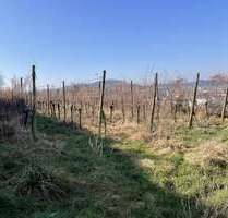 Grundstück zu verkaufen in Jechtingen 8.000,00 € 2881 m²