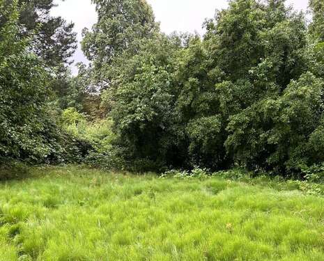 Foto - Grundstück zu verkaufen in Braunschweig Schuntersiedlung 305.000,00 € 746 m²
