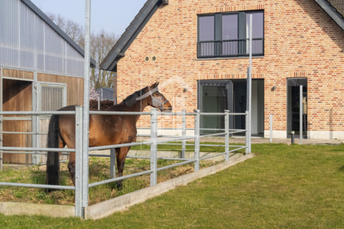 Foto - Haus zum Kaufen in Schermbeck 798.800,00 € 203.61 m²