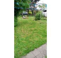 Wohnung zum Mieten in Erftstadt-Scheuren 300,00 € 25 m²