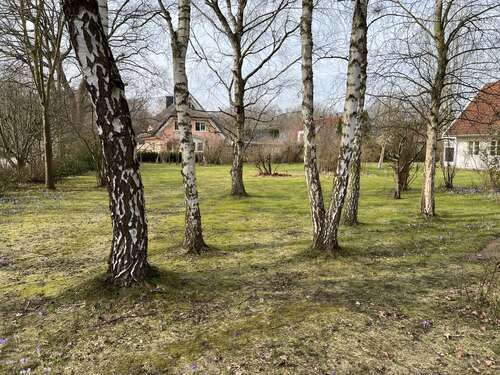 Foto - Grundstück zu verkaufen in Zingst 275.000,00 € 401 m²