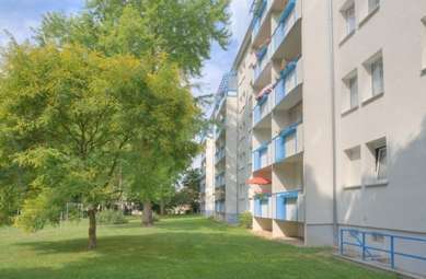 Foto - Wohnung zum Mieten in Halle 277,00 € 39.45 m²