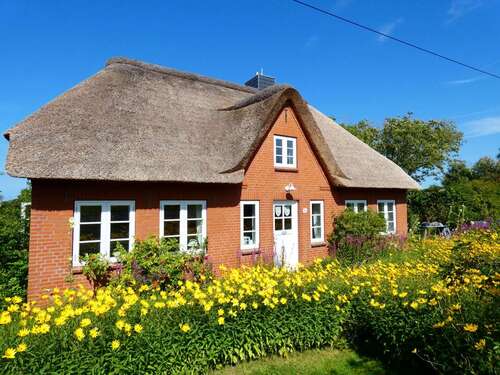 Foto - Haus zum Kaufen in Westerhever 1.200.000,00 € 150 m²