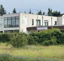 Wohnung zum Kaufen in Braunschweig 499.000,00 € 205 m²