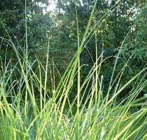 Grundstück zu verkaufen in Ottobrunn 1.100.000,00 € 410 m²