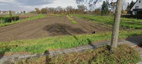Foto - Grundstück zu verkaufen in Nürnberg 1.999.000,00 € 2440 m²