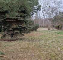 Grundstück zu verkaufen in Wustermark 230.000,00 € 1256 m²