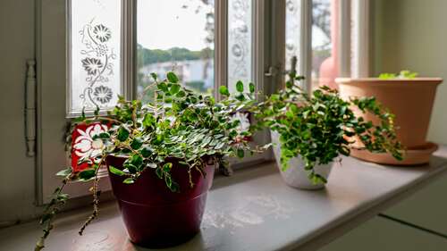 Foto - Wohnung zum Mieten in Frohburg 1.236,00 € 103 m²