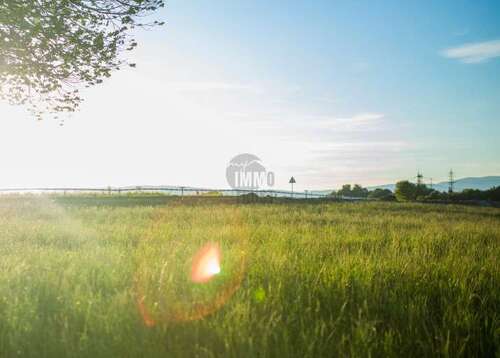 Foto - Grundstück in Miltenberg 6.900.000,00 € 200000 m²