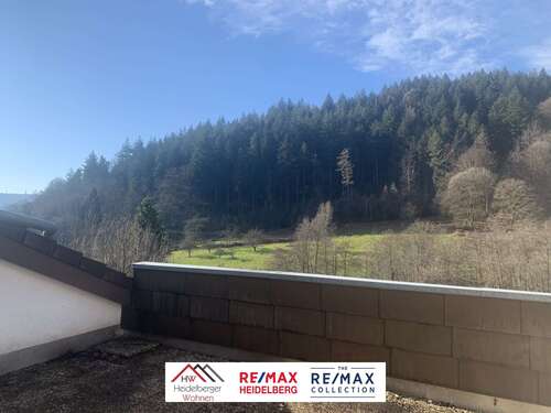 Foto - Wohnung zum Kaufen in Heidelberg - Ziegelhausen 389.000,00 € 125 m²