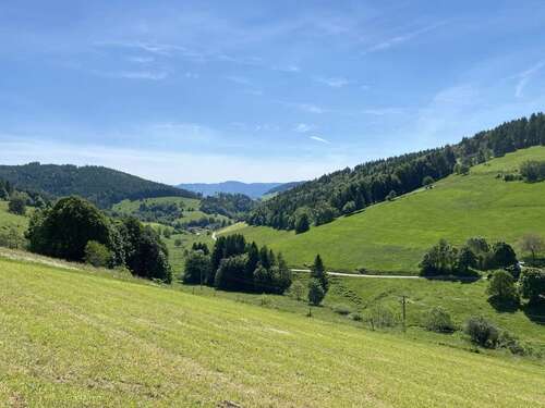 Foto - Gastronomie in Kleines Wiesental 799.000,00 € 3339 m²