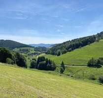Gastronomie in Kleines Wiesental 799.000,00 € 3339 m²