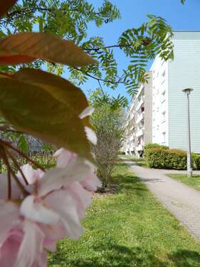Foto - Wohnung zum Mieten in Schkeuditz 540,00 € 60 m²