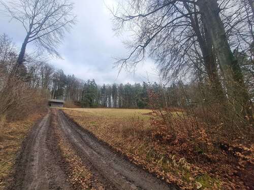 Foto - Grundstück in Königsstein Kappelberg 196.000,00 € 5772 m²