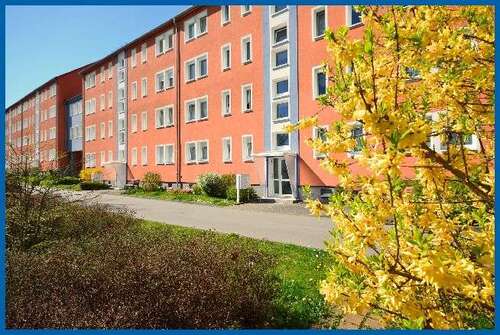 Foto - Wohnung zum Mieten in Riesa 270,00 € 46.39 m²