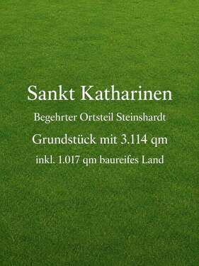 Foto - Grundstück zu verkaufen in St. Katharinen 179.000,00 € 3114 m²