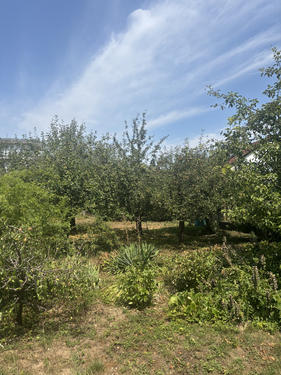 Foto - Grundstück zu verkaufen in Benningen a.N. 480.000,00 € 661 m²