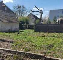 Grundstück zu verkaufen in Haltingen 500.000,00 € 1044 m²