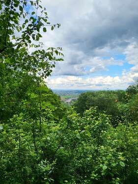 Foto - Grundstück zu verkaufen in Leonberg 1.400.000,00 € 1790 m²
