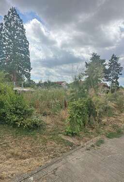 Foto - Grundstück zu verkaufen in Großkarlbach 398.000,00 € 3113 m²