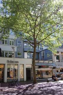 Foto - Wohnung zum Mieten in Karlsruhe 800,00 € 63 m²