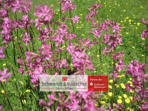 Foto - Grundstück zu verkaufen in Grebenhain 18.000,00 € 11956 m²