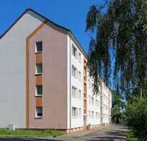 Wohnung zum Mieten in Schwarzheide 290,00 € 55.5 m²