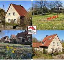 Haus zum Kaufen in Eldingen 159.000,00 € 128 m²