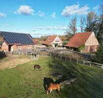 Haus zum Kaufen in Rahden 1.488.000,00 € 335 m²