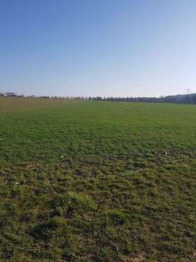 Foto - Grundstück in Leinfelden-Echterdingen 39.500,00 € 1260 m²