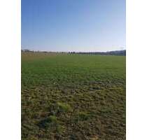 Grundstück in Leinfelden-Echterdingen 39.500,00 € 1260 m²