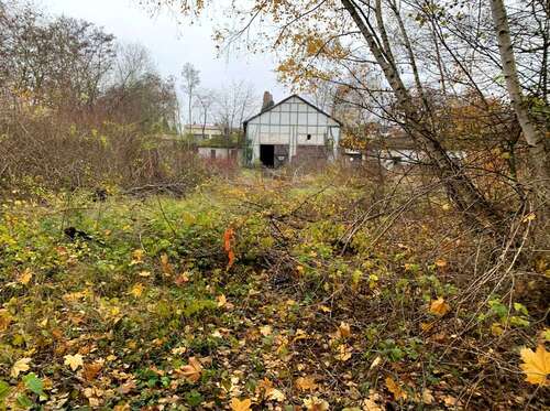Foto - Grundstück in Alsfeld 1.599.500,00 € 11919 m²