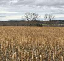 Grundstück in Pfeffenhausen Oberlauterbach 472.032,00 € 26224 m² - Pfeffenhausen / Oberlauterbach