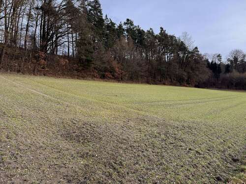 Foto - Grundstück in Pfeffenhausen Oberlauterbach 136.260,00 € 7570 m²