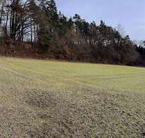 Grundstück in Pfeffenhausen Oberlauterbach 136.260,00 € 7570 m² - Pfeffenhausen / Oberlauterbach