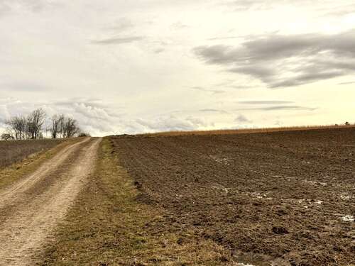 Foto - Grundstück in Pfeffenhausen Oberlauterbach 373.050,00 € 20725 m²