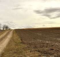 Grundstück in Pfeffenhausen Oberlauterbach 373.050,00 € 20725 m² - Pfeffenhausen / Oberlauterbach