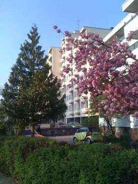 Foto - Wohnung zum Kaufen in Mörfelden-Walldorf 110.000,00 € 32.6 m²