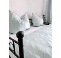 Wohnen auf Zeit in Chemnitz 700,00 €