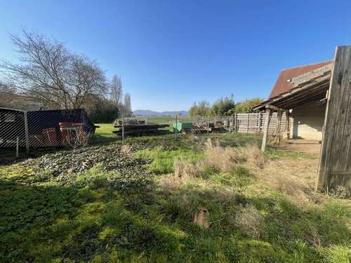 Foto - Haus zum Kaufen in Kleinfischlingen 175.000,00 € 130 m²