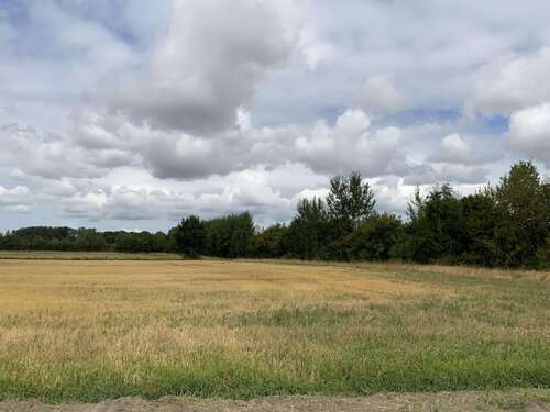 Foto - Grundstück in Vreden 295.000,00 € 19583 m²