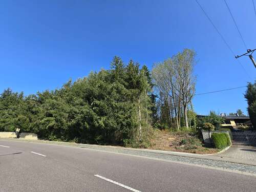 Foto - Grundstück zu verkaufen in Heusweiler 105.000,00 € 1000 m²