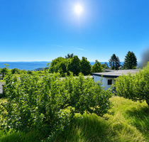 Haus zum Kaufen in Greifenstein 360.000,00 € 430 m²