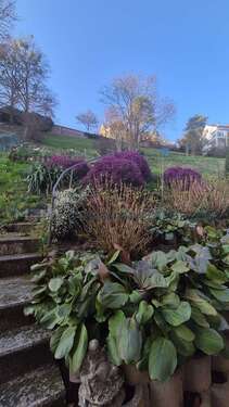 Foto - Haus zum Kaufen in Baden-Baden 915.000,00 € 305 m²