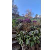 Haus zum Kaufen in Baden-Baden 915.000,00 € 305 m²