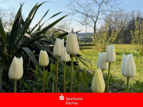Foto - Wohnung zum Mieten in Altomünster 1.320,00 € 108 m²