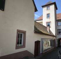 Haus zum Kaufen in Bad Bergzabern 828.000,00 € 280 m²